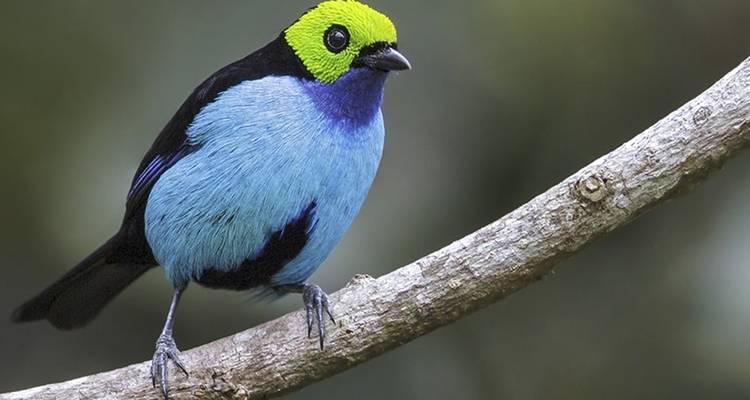 Amazon Yasuni Park Trip in Superior Eco Lodge - PALMARVOYAGES Tour Operator in ECUADOR 9