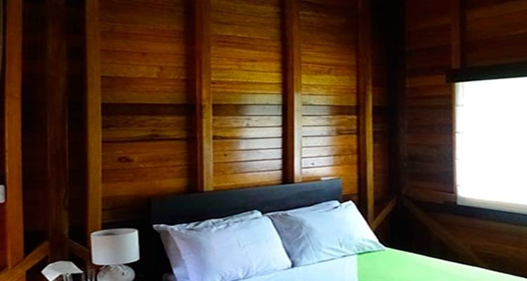 Amazon Yasuni Park Trip in Superior Eco Lodge - PALMARVOYAGES Tour Operator in ECUADOR 8