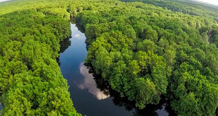 Amazon Yasuni Park Trip in Superior Eco Lodge - PALMARVOYAGES Tour Operator in ECUADOR 6