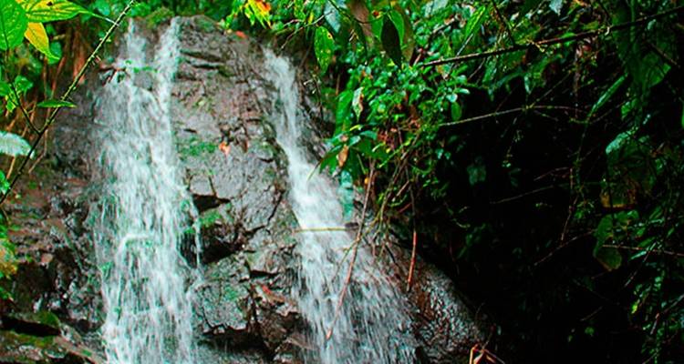 Ecuador Mindo Cloud Forest Trip in Eco Chalet - PALMARVOYAGES Tour Operator in ECUADOR 7