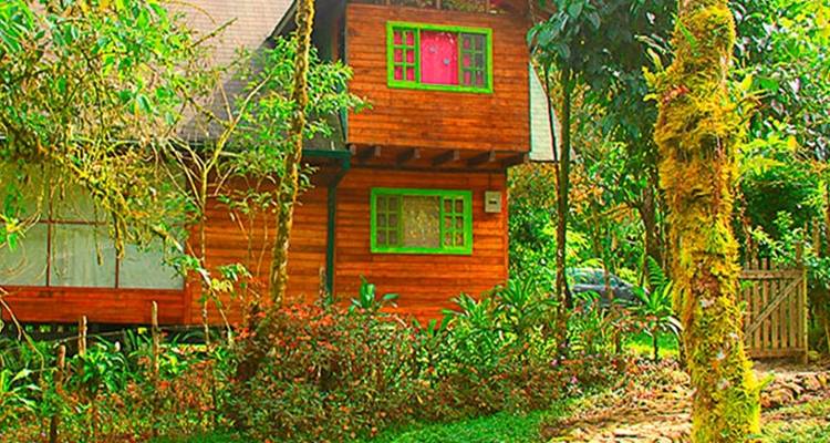 Ecuador Mindo Cloud Forest Trip in Eco Chalet - PALMARVOYAGES Tour Operator in ECUADOR 10