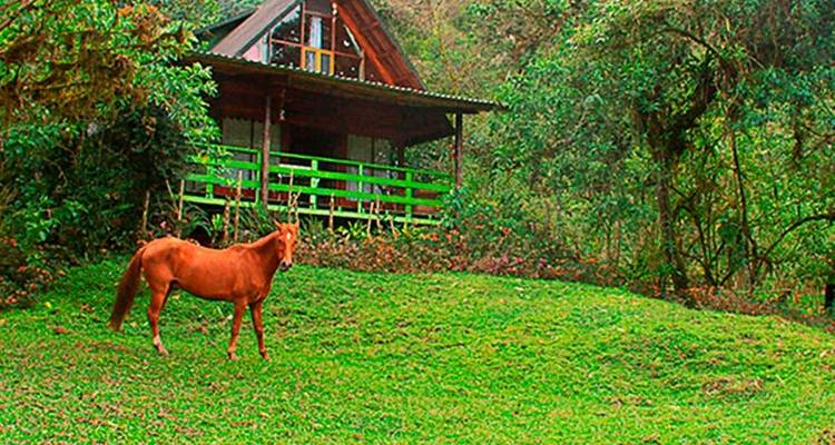 Ecuador Mindo Cloud Forest Trip in Eco Chalet - PALMARVOYAGES Tour Operator in ECUADOR 2