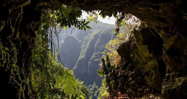 Senderismo en Madeira - Año Nuevo - Explore! 7