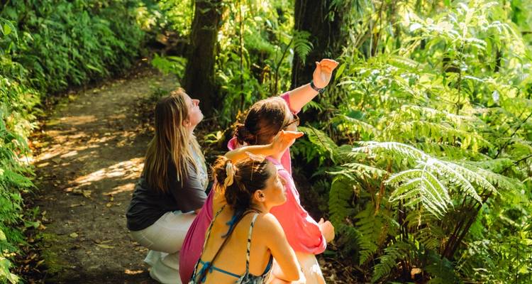 Aventura en Costa Rica - TruTravels 7