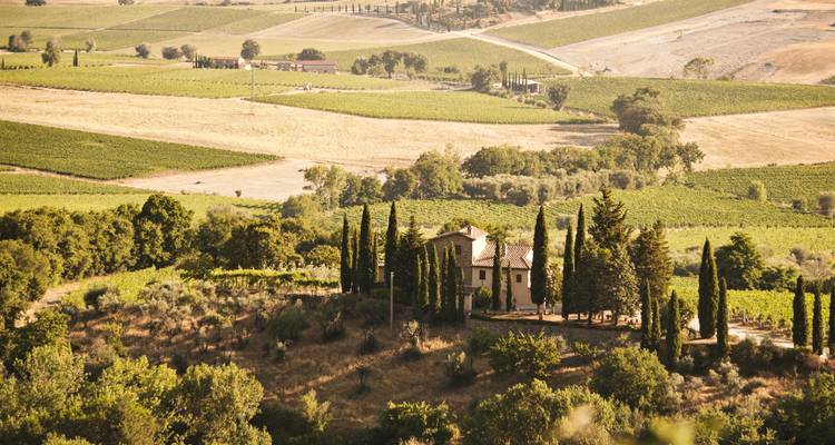 Sienne et l'histoire - Tuscan Escapes 3