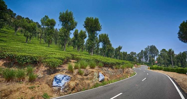 Forfait Mysore - Ooty - Coorg - Kerala Holiday Club 4