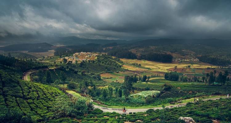 Forfait Mysore - Ooty - Coorg - Kerala Holiday Club 6