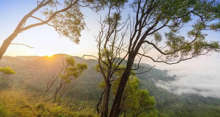 Forfait Mysore - Ooty - Coorg - Kerala Holiday Club 1