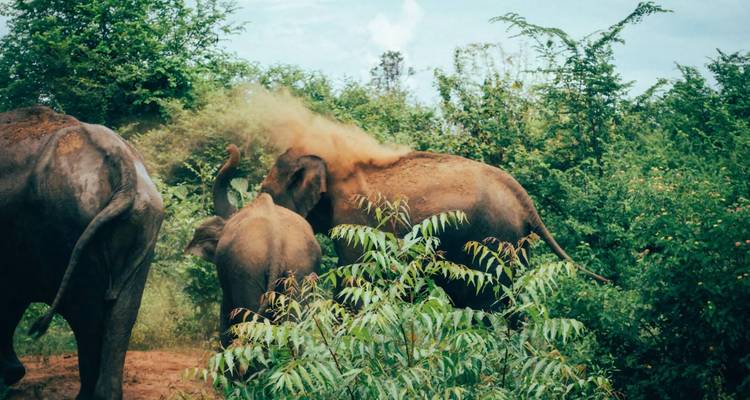 6 Day Sri Lanka Itinerary - Holiday Lanka Tours 6