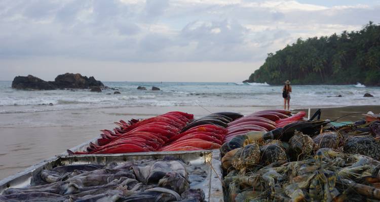 6 Day Sri Lanka Itinerary - Holiday Lanka Tours 7