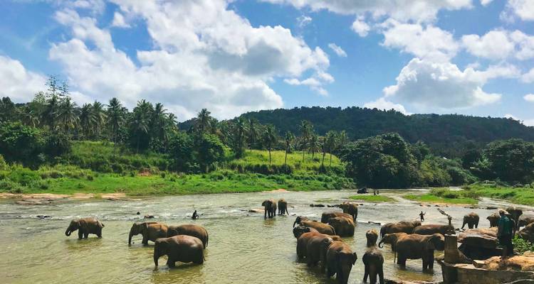 Sri Lanka Itinerary 7 Days - Holiday Lanka Tours 4