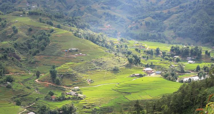 Vista expansiva de terrazas de arroz a través de las colinas.