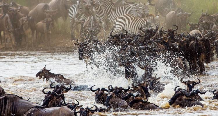 7 días Aberdares, lago Nakuru, lago Naivasha y Masai Mara - safari de lujo en globo aerostático incluido - Gracepatt Ecotours Kenya 6