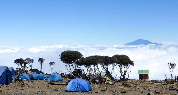 8 días de escalada al Kilimanjaro por la ruta Machame - Gracepatt Ecotours Kenya 3