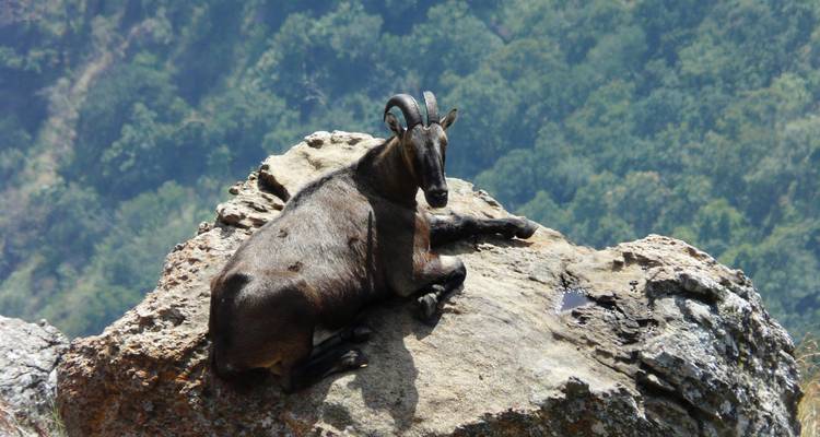Cochin to Munnar, Thekkady & Alleppey Escapade - Agora Voyages OPC Pvt Ltd 8