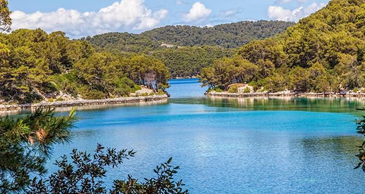 Canal pintoresco rodeado de densos bosques.