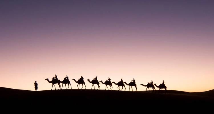 Silhouetten van kamelen die bij zonsondergang over een woestijnduin lopen.