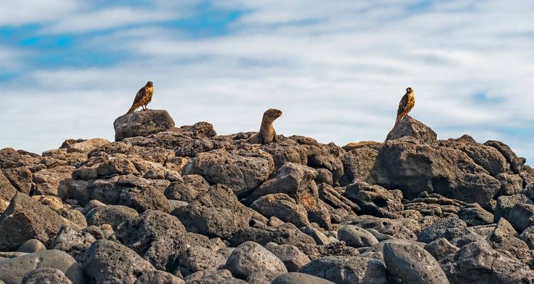 Colombie et Galapagos Express 13 jours - GUIDEcuador Travel 2