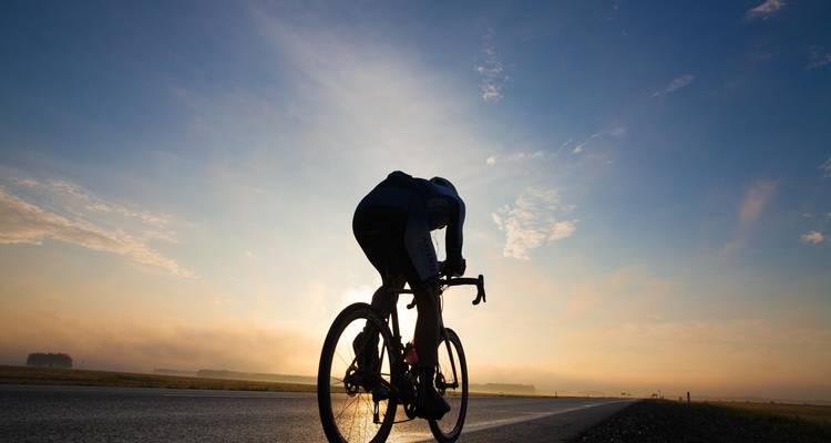 Circuito en bicicleta de montaña - World Himalayan Destination Pvt Ltd 1