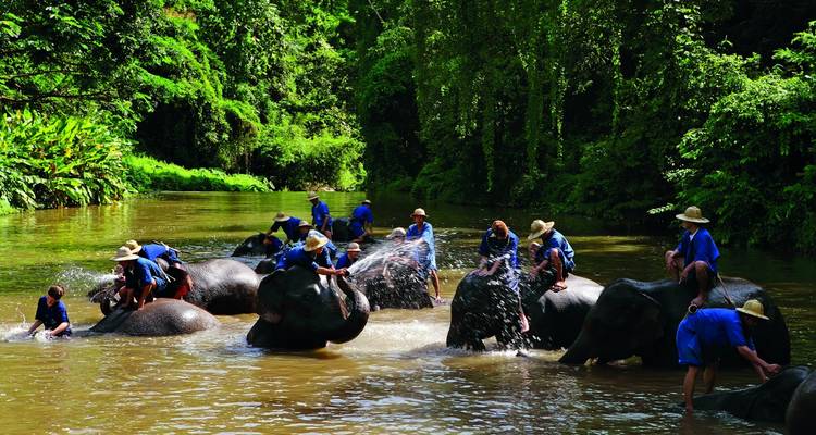 "Unforgettable Solo Adventure: Bangkok Stopover & North Thailand Bliss - 7 Days & 6 Nights (Tour ends in Chiang Mai, Flights not included)" - Asia travel and Estate 1