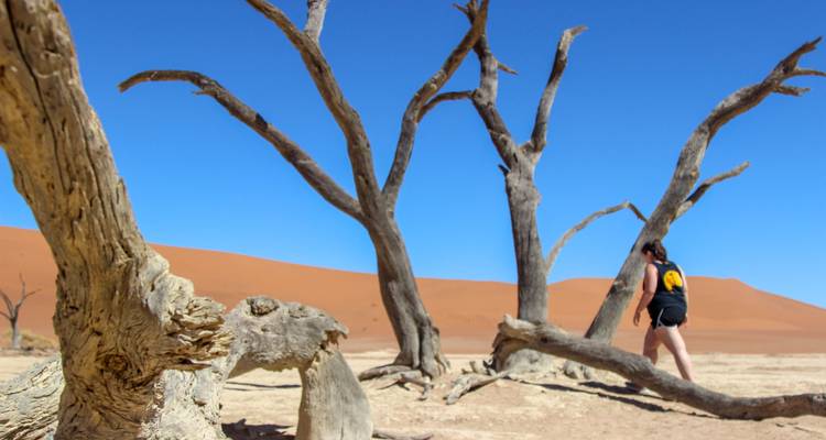 Circuit de 5 jours avec hébergement à Sossusvlei et sur la côte - Bluecrane Safaris Namibia 2
