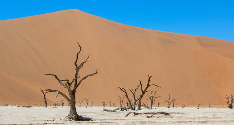 Circuit de 5 jours avec hébergement à Sossusvlei et sur la côte - Bluecrane Safaris Namibia 10