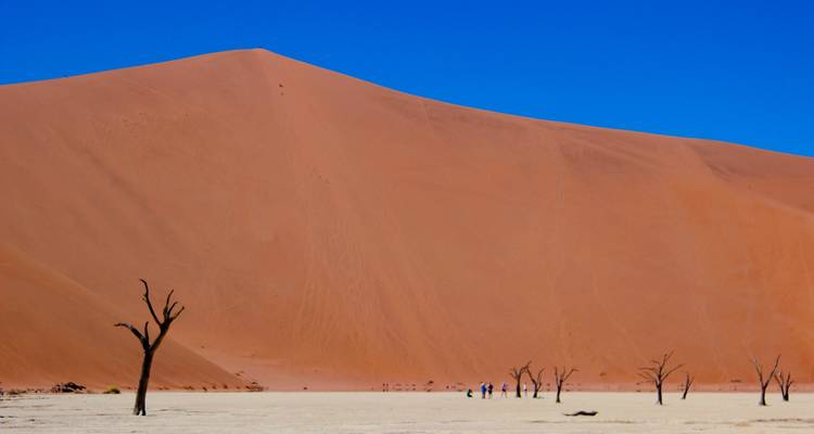 Circuit de 5 jours avec hébergement à Sossusvlei et sur la côte - Bluecrane Safaris Namibia 9