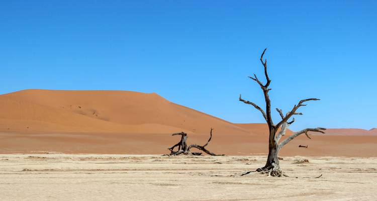 Circuit de 5 jours avec hébergement à Sossusvlei et sur la côte - Bluecrane Safaris Namibia 1