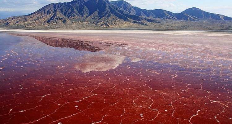 Un safari pédestre inoubliable - 7 days - Maasai African Guides and DMC Ltd 1