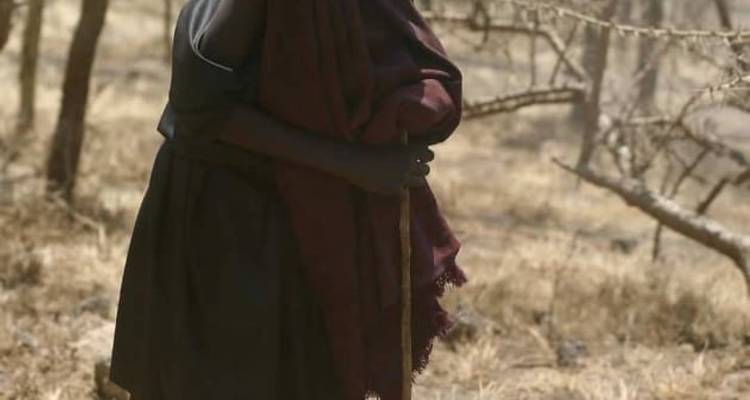 Un safari pédestre inoubliable - 7 days - Maasai African Guides and DMC Ltd 10