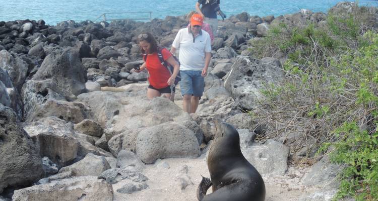 Galapagos Experience: 5 days - Lead Adventures  10
