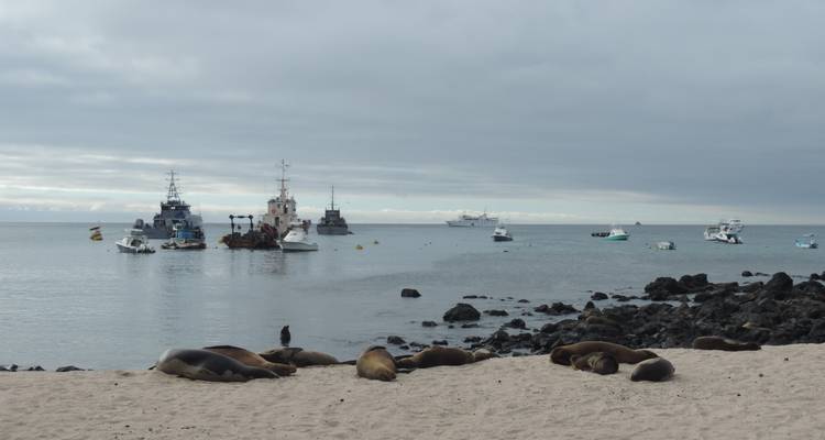 Galapagos Experience: 5 days - Lead Adventures  6