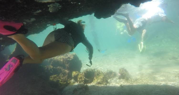 Découverte de la plongée aux Galápagos - 4 jours - Cami Adventures 3