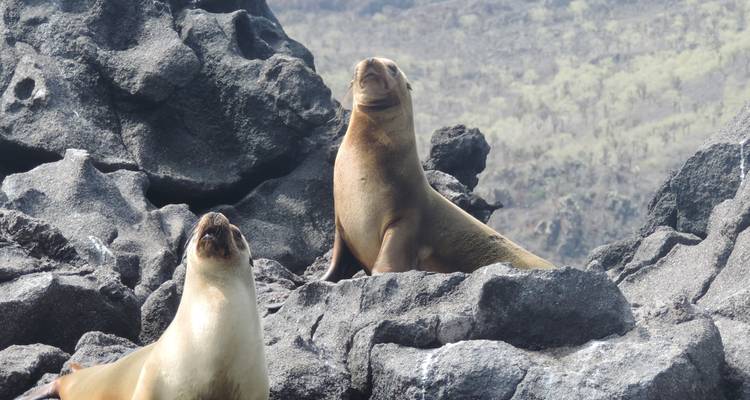 Galápagos Experience: 7 days - Lead Adventures  4