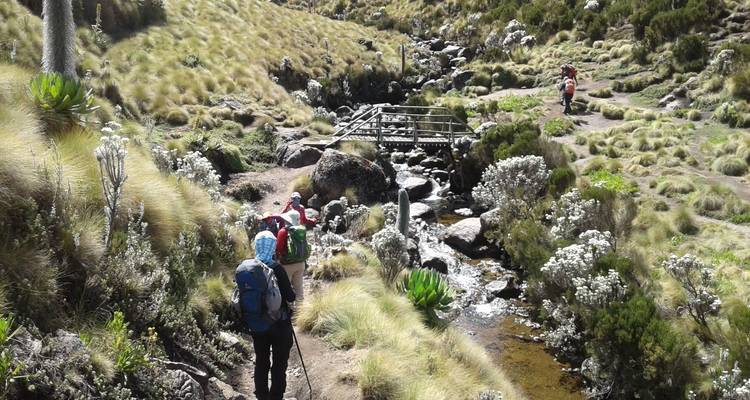 6 Days Mount Kenya Climbing Through Sirimon Down Naromoru Route - Gracepatt Ecotours Kenya 8