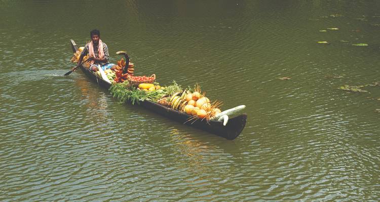 De Cochin a Alleppey y escapada a la playa de Marari - Agora Voyages OPC Pvt Ltd 1