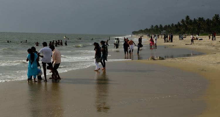 De Cochin a Alleppey y escapada a la playa de Marari - Agora Voyages OPC Pvt Ltd 10