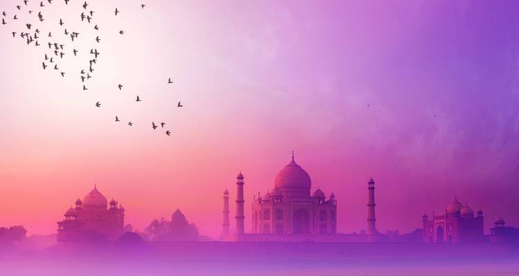 Silhouet van de Taj Mahal bij zonsopgang met vliegende vogels.