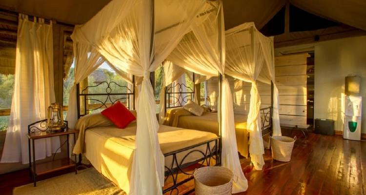 Ultimate 5-day Tanzania Holiday Tour with Reasonable Price. - Africa Natural Tours 1