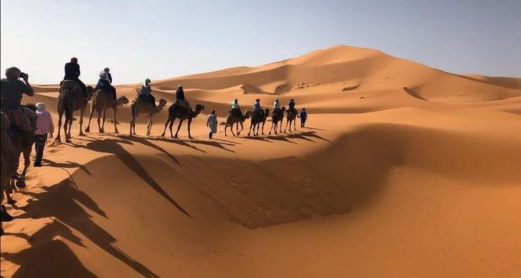 Camel caravan crossing sand dunes.