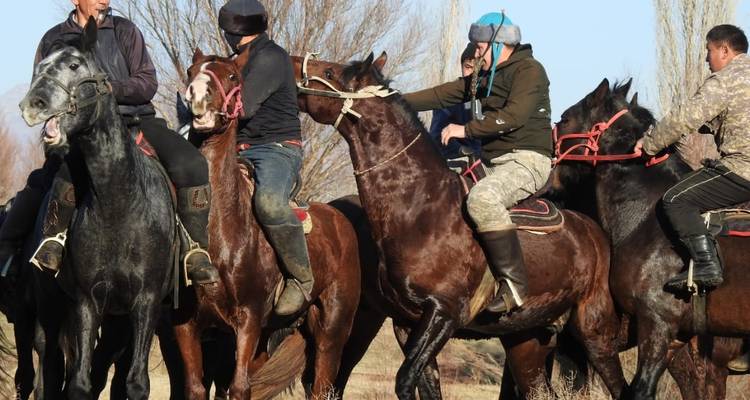 Circuit de 4 jours au pays des tulipes - Steppe and sky travel 4