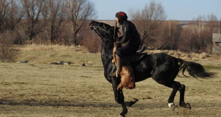 Circuit de 4 jours au pays des tulipes - Steppe and sky travel 6