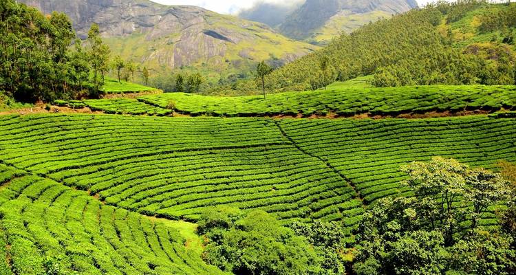 L'essence de l'Inde du Sud idyllique - Payless tours india 2
