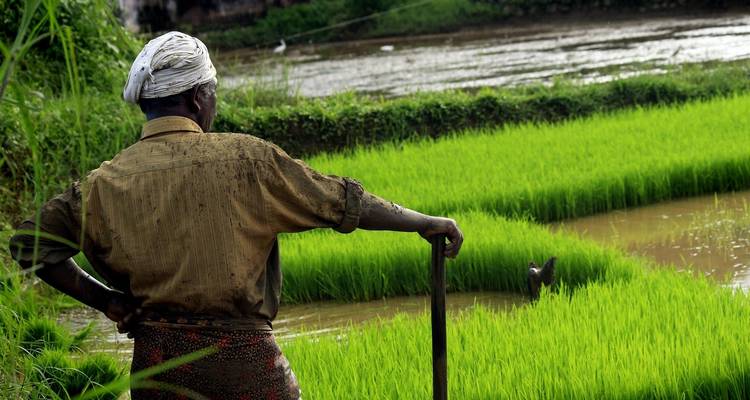 L'essence de l'Inde du Sud idyllique - Payless tours india 10