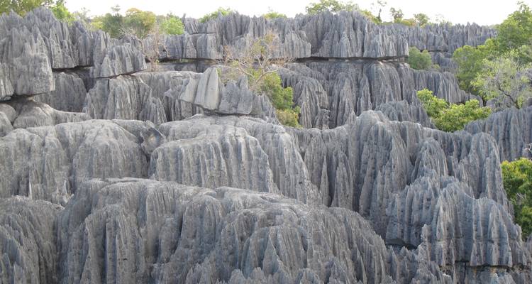 Découvrez l'unique à Madagascar - Lémuriens, Baobabs, Tsingy - Fosa Travel 2