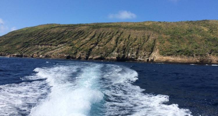 Circuit de 6 jours aux Galápagos (Isabela et Santa Cruz) - Latin Adventures 3