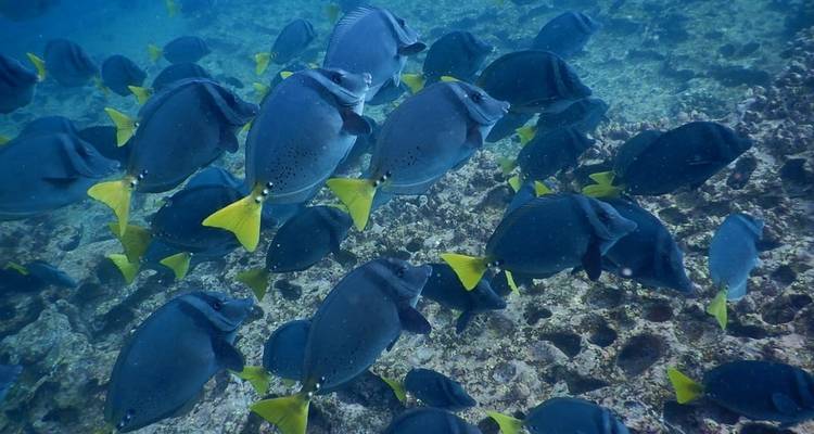 Experiencia de 7 días en las Islas Galápagos - Latin Adventures 3