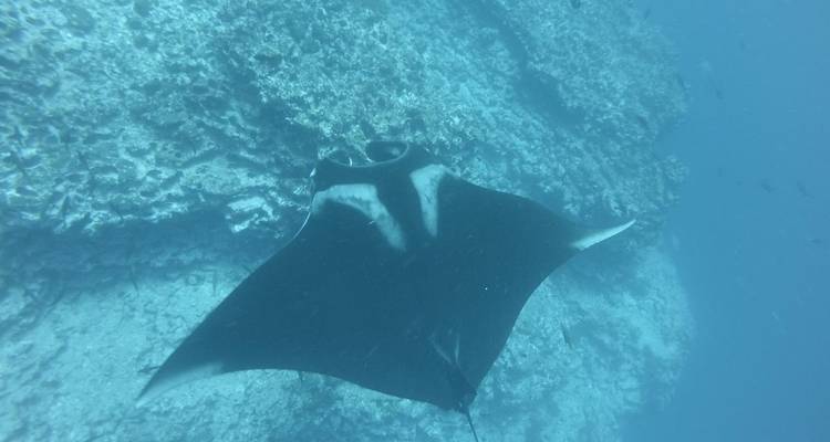Experiencia de 7 días en las Islas Galápagos - Latin Adventures 9
