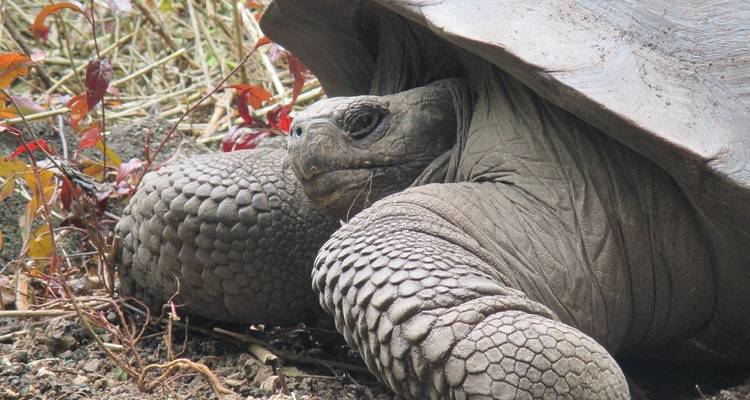 Experiencia de 7 días en las Islas Galápagos - Latin Adventures 10