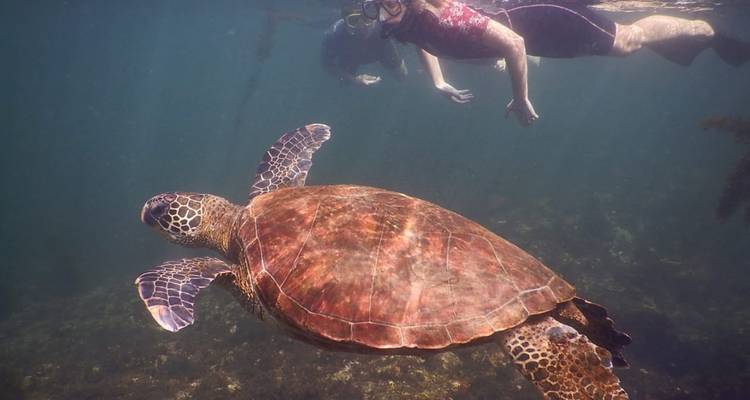 Experiencia de 7 días en las Islas Galápagos - Latin Adventures 7